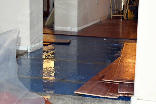 Professional Flood Cleanup technician working in Plympton, MA